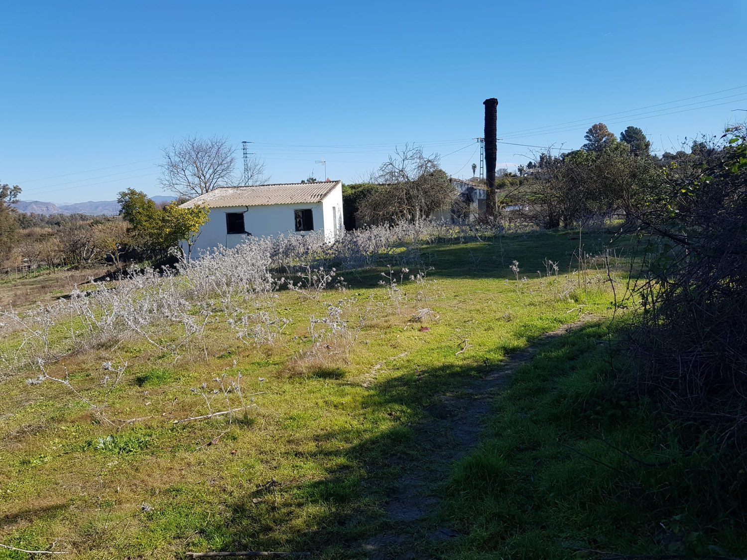 Parcelle en vente à Coín