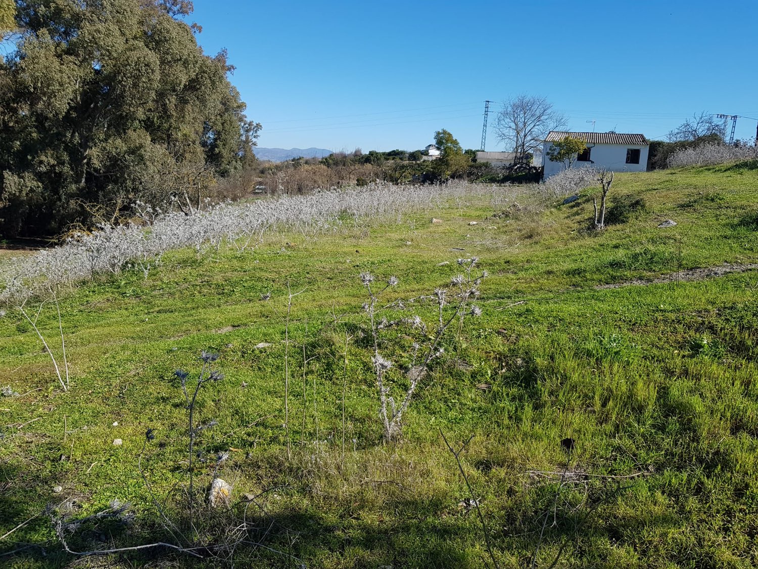 Parcelle en vente à Coín