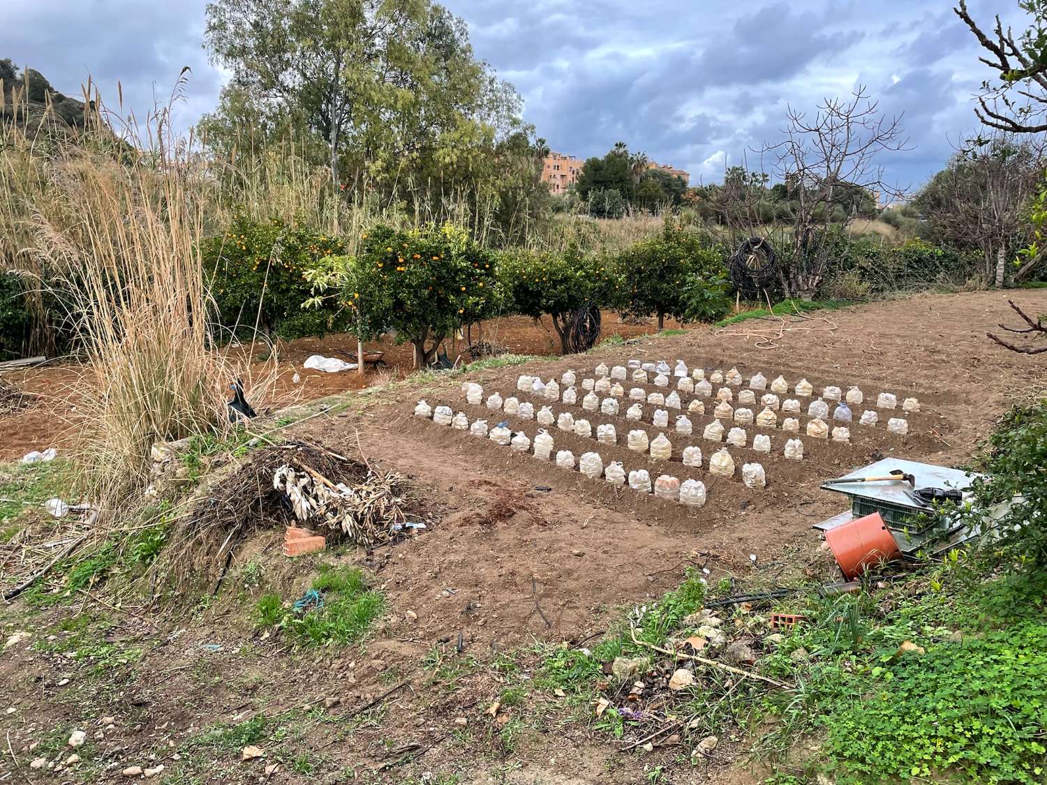 Maison en vente à Mijas