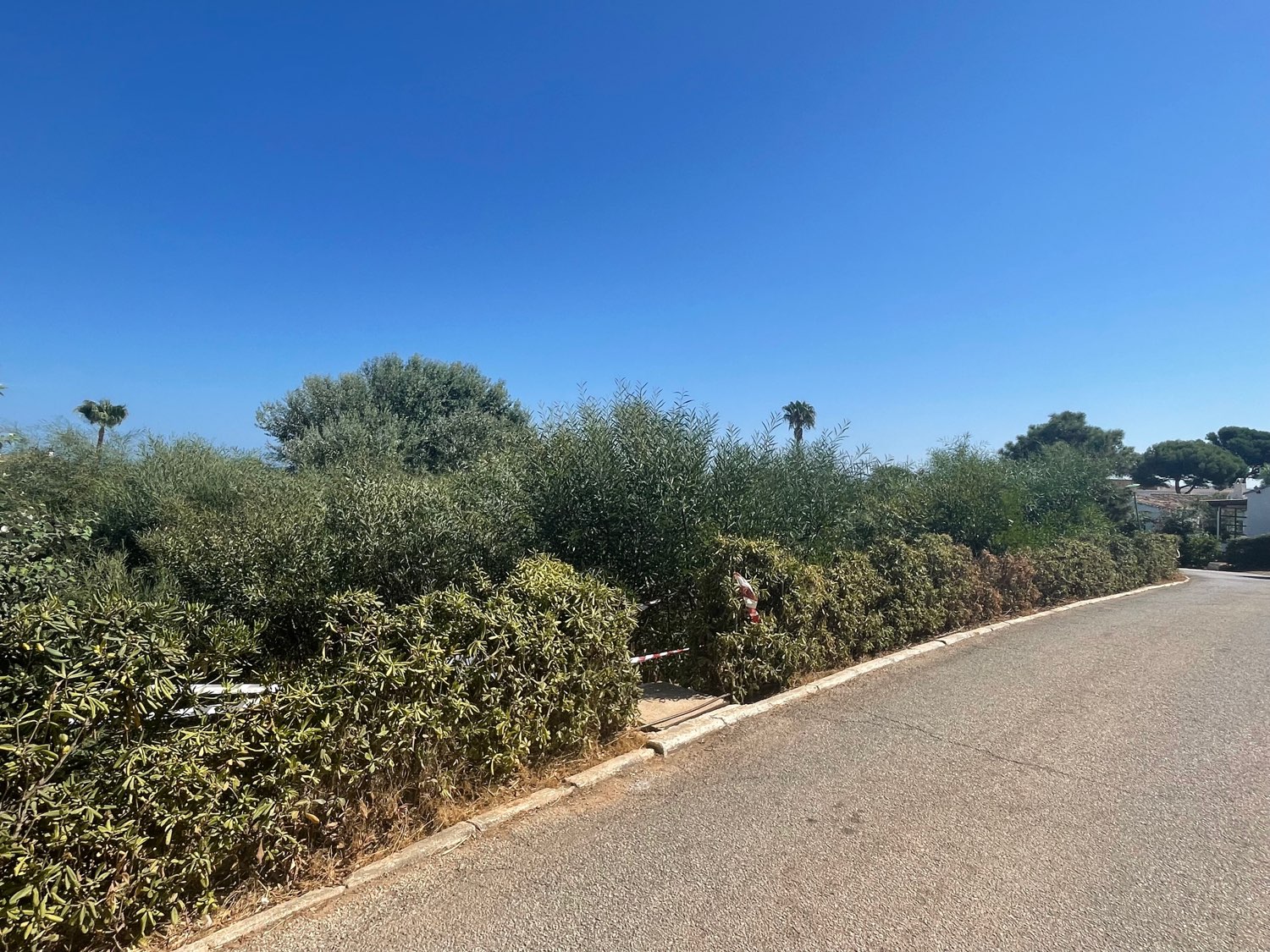 Plot for sale in Mijas