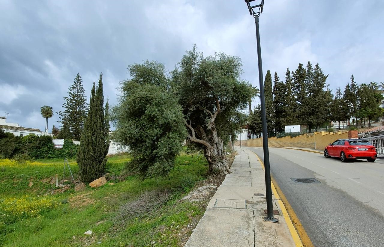 Plot for sale in Campo de Mijas