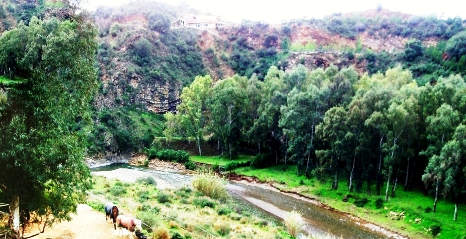 PARCELA EN VENTA, ENTRERRIOS