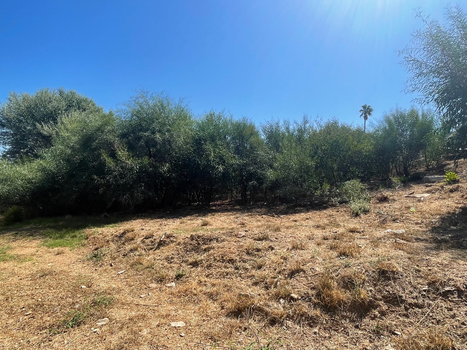 Plot for sale in Mijas