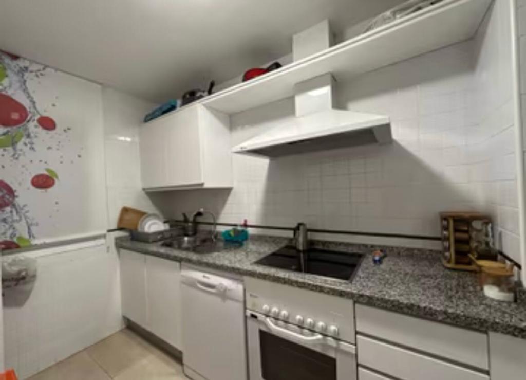 APARTMENT RENTAL, CALAHONDA