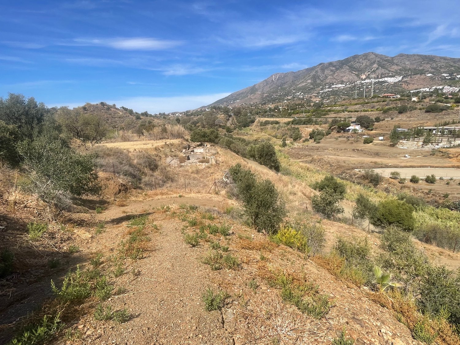 Rustic Agrarian Plot in Mijas