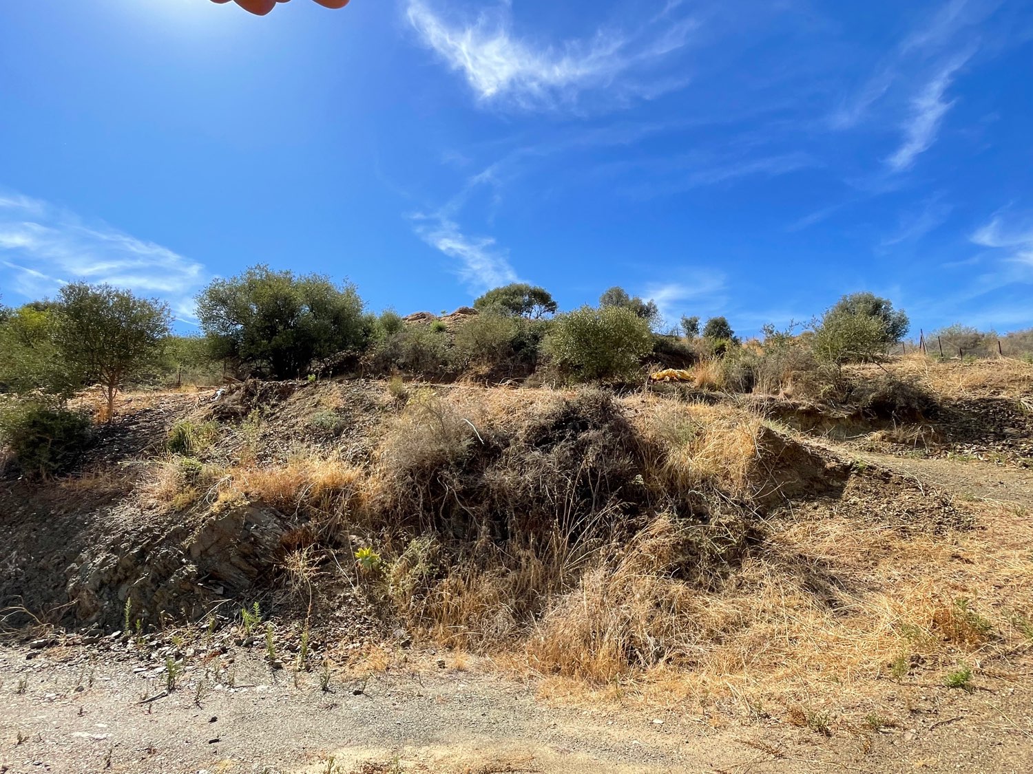 Parcelle en vente à Campo de Mijas