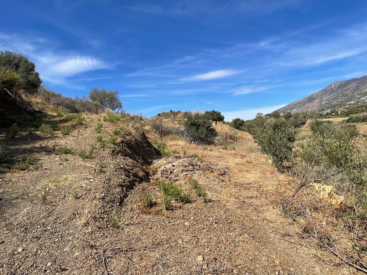 Rustic Agrarian Plot in Mijas