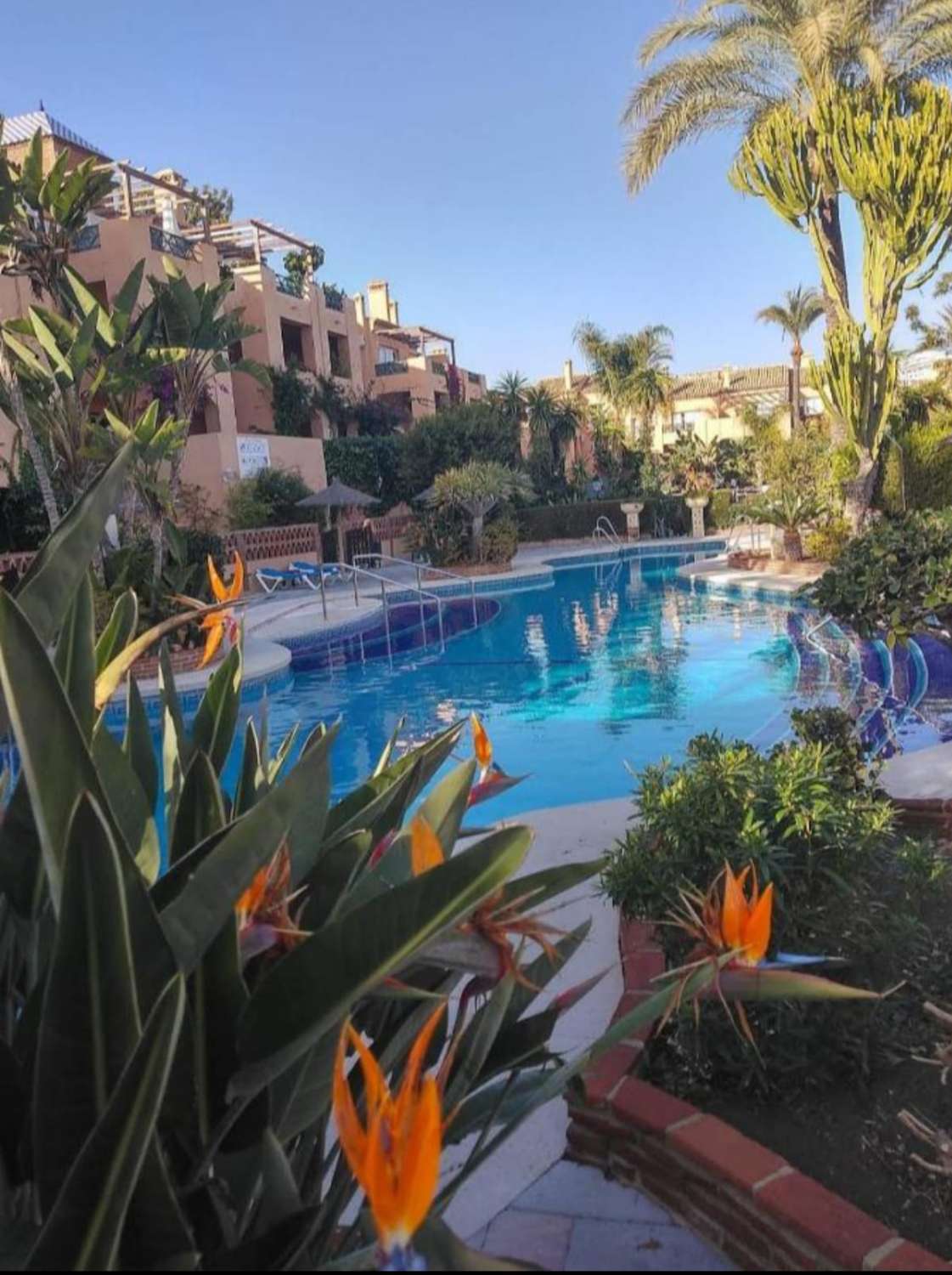 Petit Appartement en vente à Riviera del Sol (Mijas)